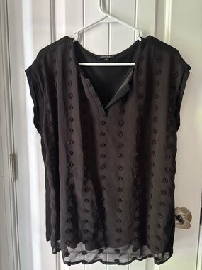 Papermoon Black Sheer Dot-Detail V-Neck Blouse